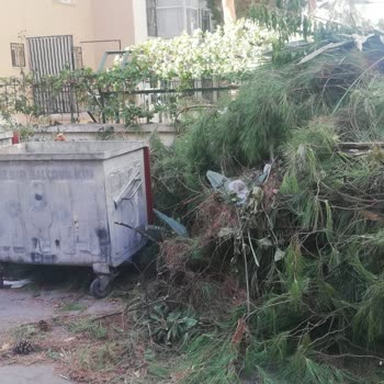 İzmir Balçova Belediyesi Sokak Temizliği Ve Çöp Konteynerinin Sayısının Bire Düşürülmesi