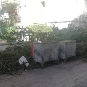 İzmir Balçova Belediyesi Sokak Temizliği Ve Çöp Konteynerinin Sayısının Bire Düşürülmesi