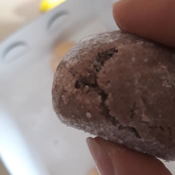 Şahin Pastanesi Kurabiyeden Kurt Çıktı