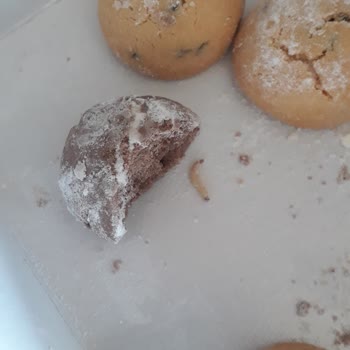 Şahin Pastanesi Kurabiyeden Kurt Çıktı