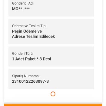 MNG Kargo Gönderinin Teslimini Unuttu