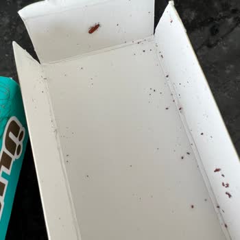 Ülker Çikolatadan Böcek Çıktı