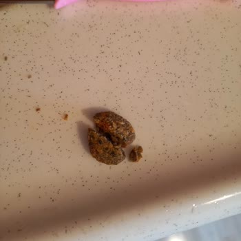 BİM Party Marka Cips İçinden Köpek Mamasına Benzeyen Bir Şey Çıktı