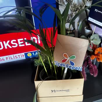 ÇiçekSepeti İki Üç Dal Ot Saplanması