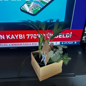 ÇiçekSepeti İki Üç Dal Ot Saplanması