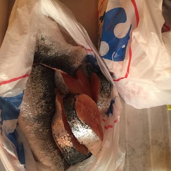Carrefour SA 1.700 TL Lik Yaptığım Alışverişin Bedeli Çöpe Atmak Oluyor
