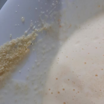 A101 Markette Bendo Marka Kurtlu İrmik