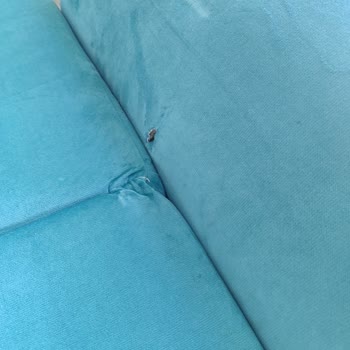 Pelin Nakliyat (Diyarbakır) Ev Eşyalarımız Aşırı Derecede Zarar Vermişler