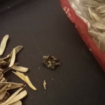 Simbat Kuruyemiş BİM Market İn Gıdada Ki Ayıbı