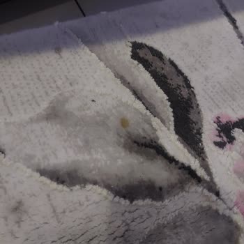 4 İklim Halı Yıkama Hali Ve Battaniye Yikama