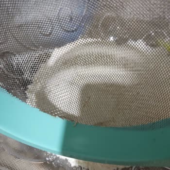 Sinangil Unlarından Kurt Çıktı