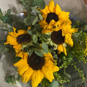 ÇiçekSepeti Solmuş Ve Yıpranmış Çiçek Gelmesi