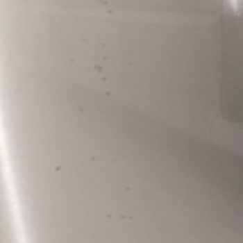 Bosch Buzdolabı Alt Kapağı Pas Lekeleri Var