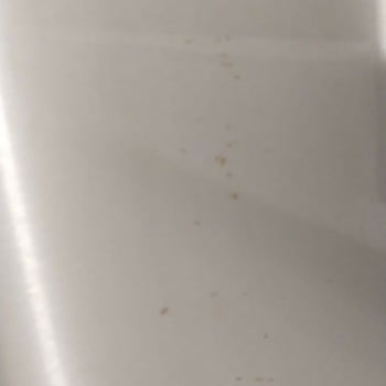 Bosch Buzdolabı Alt Kapağı Pas Lekeleri Var