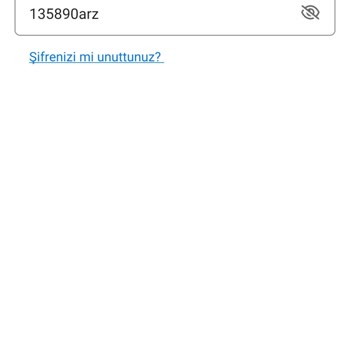 Payoneer Hesabıma Giriş Yapamıyorum