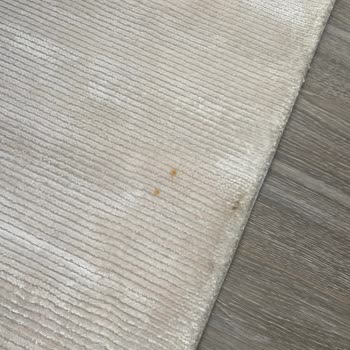 Bulut Halı Yıkama (İstanbul) Halı Yıkama Şirketi Hizmetlerinden Memnuniyetsizlik