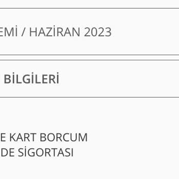 Denizbank Bilgim Dışında Yapılan Metlife Kart Borcum Güvende Sigortası