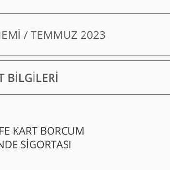 Denizbank Bilgim Dışında Yapılan Metlife Kart Borcum Güvende Sigortası