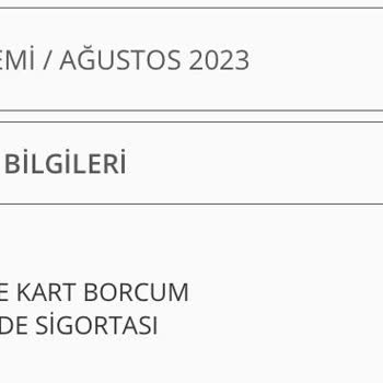 Denizbank Bilgim Dışında Yapılan Metlife Kart Borcum Güvende Sigortası