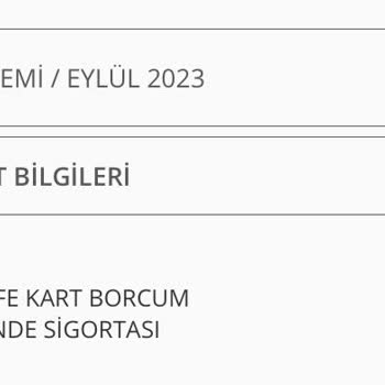 Denizbank Bilgim Dışında Yapılan Metlife Kart Borcum Güvende Sigortası