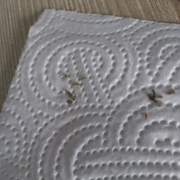 BİM BİM Baharat Naneden Bir Sürü Diken Çıktı