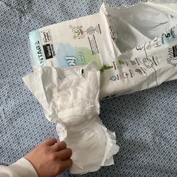 Sleepy Bezlerde Böcek Kalıntısı