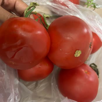 Oruç Market Girne Maltepe Şubesi / Trendyol Mu Asla