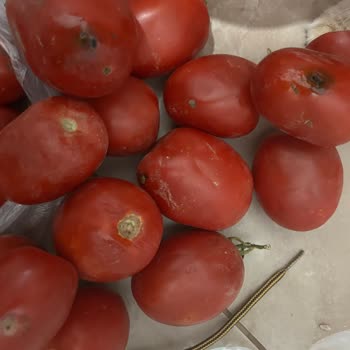 Oruç Market Girne Maltepe Şubesi / Trendyol Mu Asla