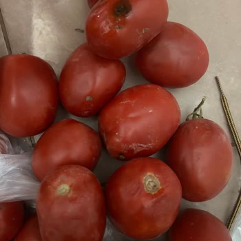 Oruç Market Girne Maltepe Şubesi / Trendyol Mu Asla