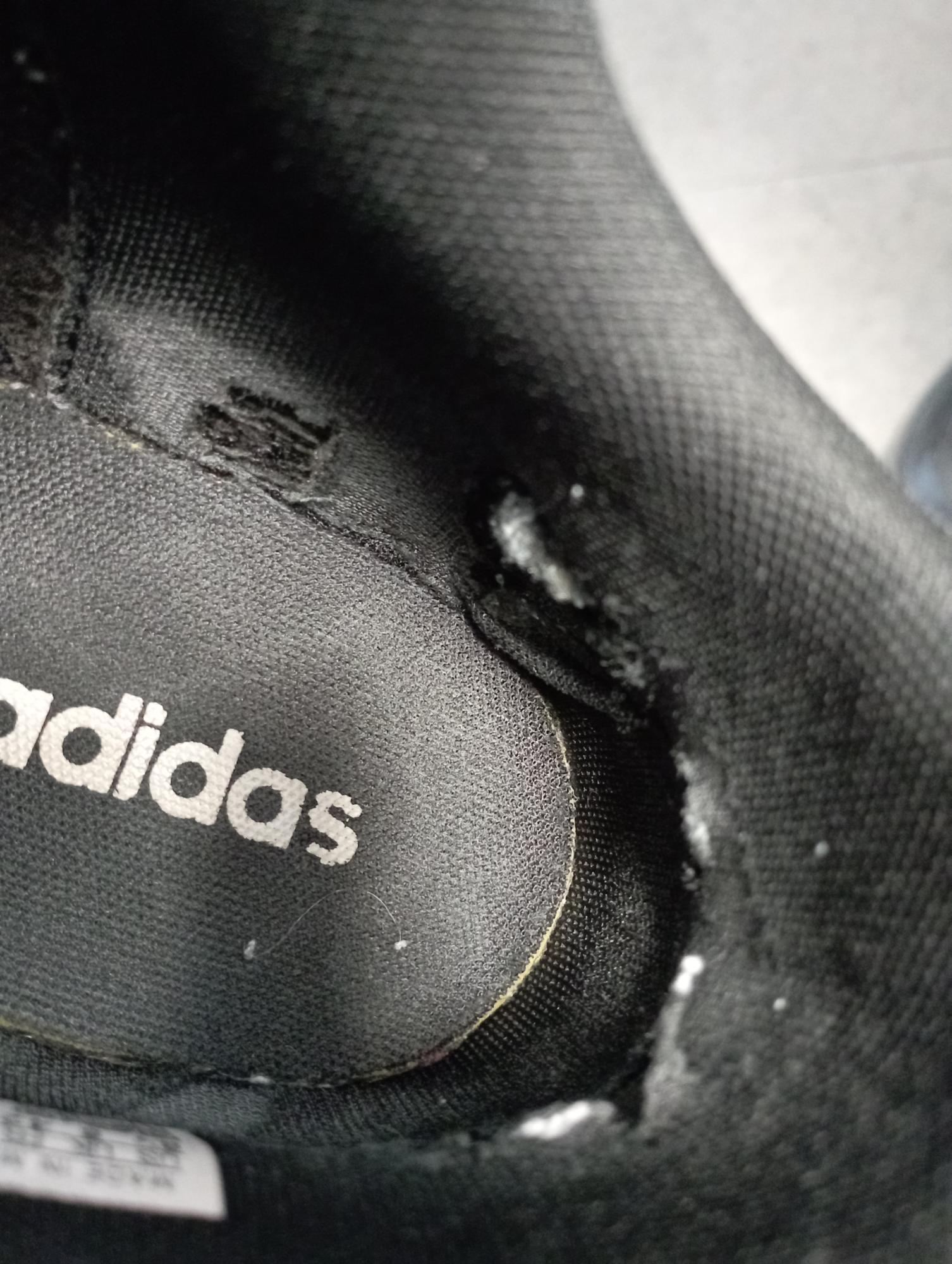 The Inside Of My Adidas Shoe Was Shattered - Xolvie