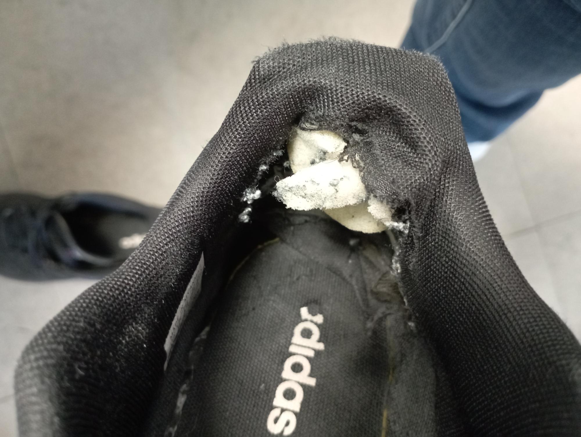The Inside Of My Adidas Shoe Was Shattered... - Xolvie