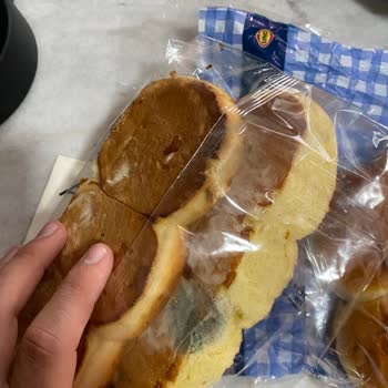 Uno Ekmek Küflenmiş Ekmekler