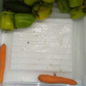 Bad Service and Malfunctioning Bosch Fridge Disappointed Us