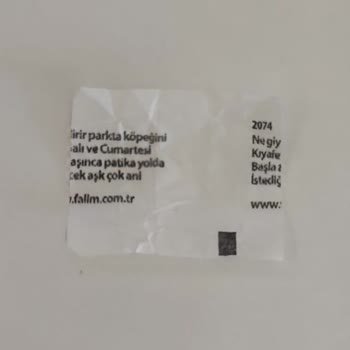 Falım Sakızın Falsız Olması
