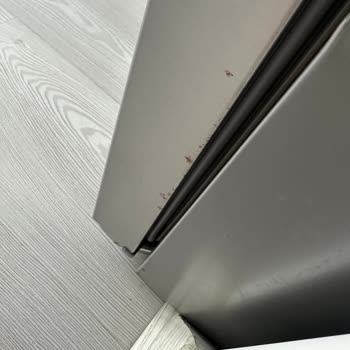 Siemens Ev Aletleri Buzdolabı Garanti Sorunu