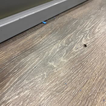 Gym Center Salon Sorunları