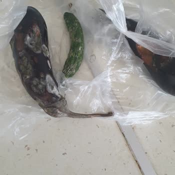 Beko 978557 Eb No Frost Buzdolabı