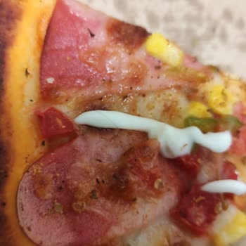 Pizza Land Felaketi, İçinden Kıl Çıktı