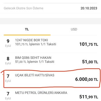 Lina Anadolu Turizm THY Adına Yaptığı Usulsüzlük