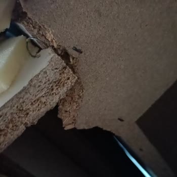 Doğtaş Mobilya'dan Aldığım Oturma Grubuyla İlgili Yaşadığım Sorunlar