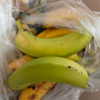 Şok Marketler Şok Marketin Siparişte Bozuk Ürünleri Yollaması