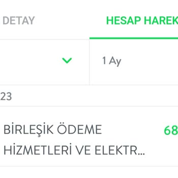 Birleşik Ödeme Hizmetleri Ve Elektronik Para A. Ş Hesaba Para Geldi