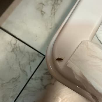 Metroport Avm Hijyen Yetersizliği Ve Her Yerde Haşereler Olması!