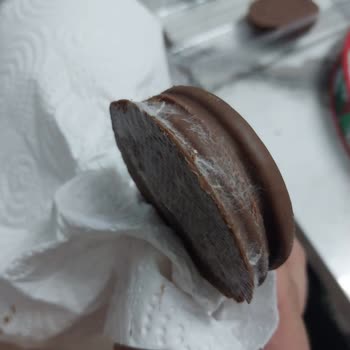 Luppo Küflü Çıktı