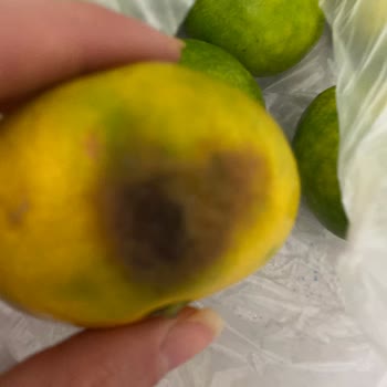 Getir Çarşı Bacanaklar Manav