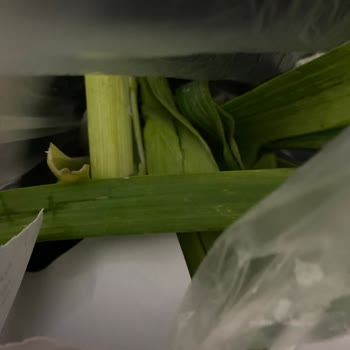 Getir Çarşı Bacanaklar Manav