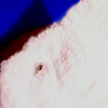 BİM Efsane Baldo Böcekli Pirinç