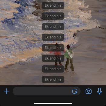 WhatsApp Olduğum Gruplarda Grup Bilgisine Tıklayınca Eklendiniz Yazıyor.
