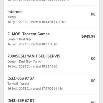 Vodafone Benim Oyunun Adını Bile Bilmediğim Bir Şeyin Onayını Almışlar.
