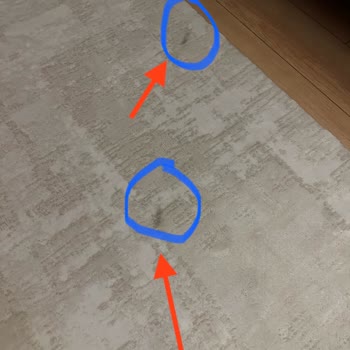 Aksa Halı Yıkama (İzmir) Yıkamadan Getirdi